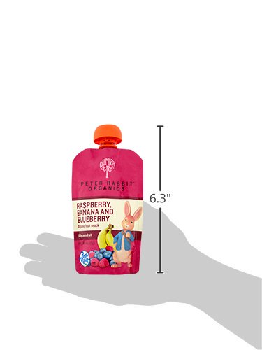 Pumpkin Tree Peter Rabbit Organics Strawberry and Banana Pure Fruit Snack, 4 Ounce (Pack of 10)