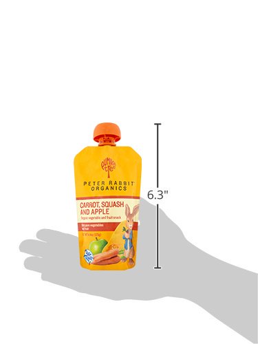 Pumpkin Tree Peter Rabbit Organics Strawberry and Banana Pure Fruit Snack, 4 Ounce (Pack of 10)