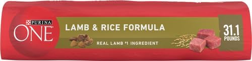 Purina ONE Lamb and Rice Formula Dry Dog Food for Digestive Support