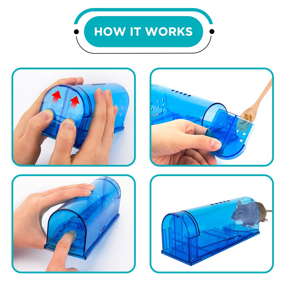 Humane Mouse Trap Reusable! [2-Pack] - Catch and Release No-Kill Rodent Traps for Indoors & Outdoors - Safe for Children & Pets - Reusable Mouse Catcher for Kitchen, Pantry & Garage Blinc (Blue) Father Jim Norris notebooks