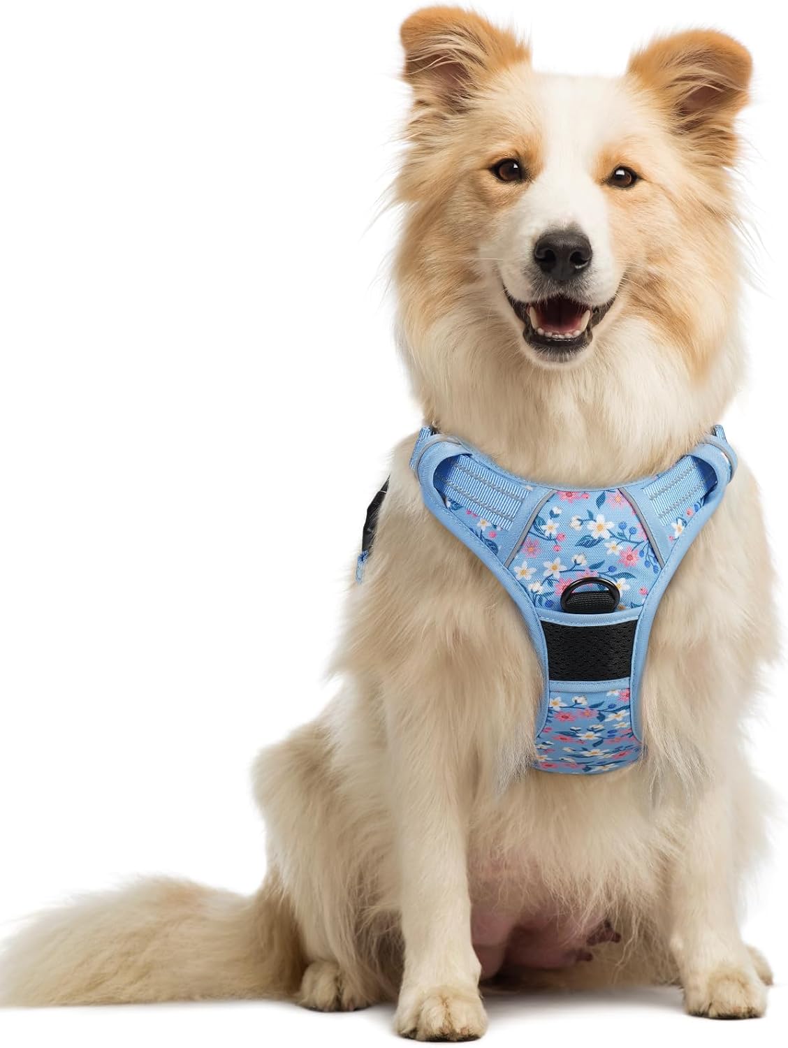 rabbitgoo Dog Harness, No Pull for Large Dogs with 2 Leash Clips, Pet Vest