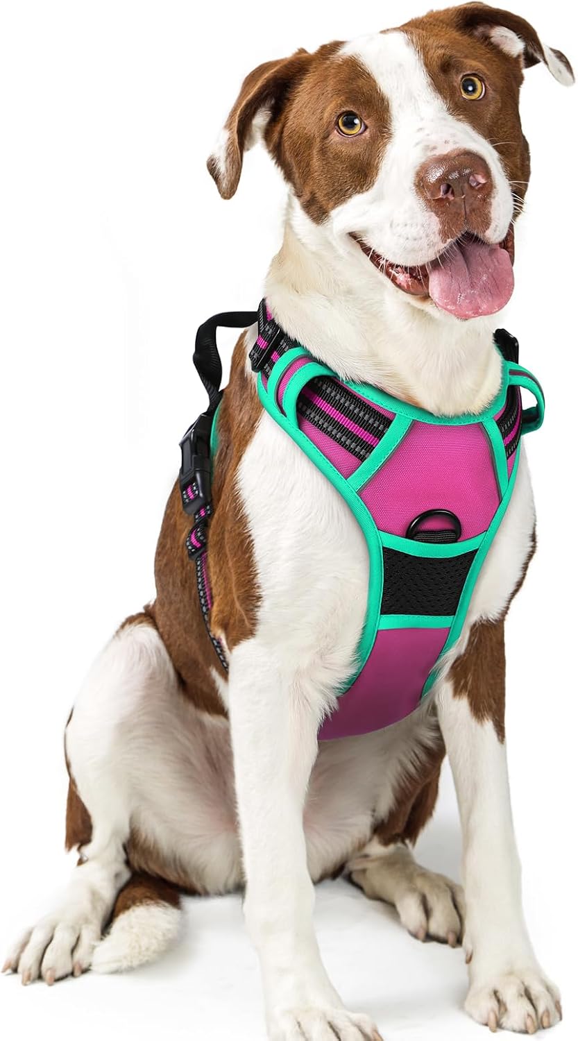 rabbitgoo Dog Harness, No Pull for Large Dogs with 2 Leash Clips, Pet Vest