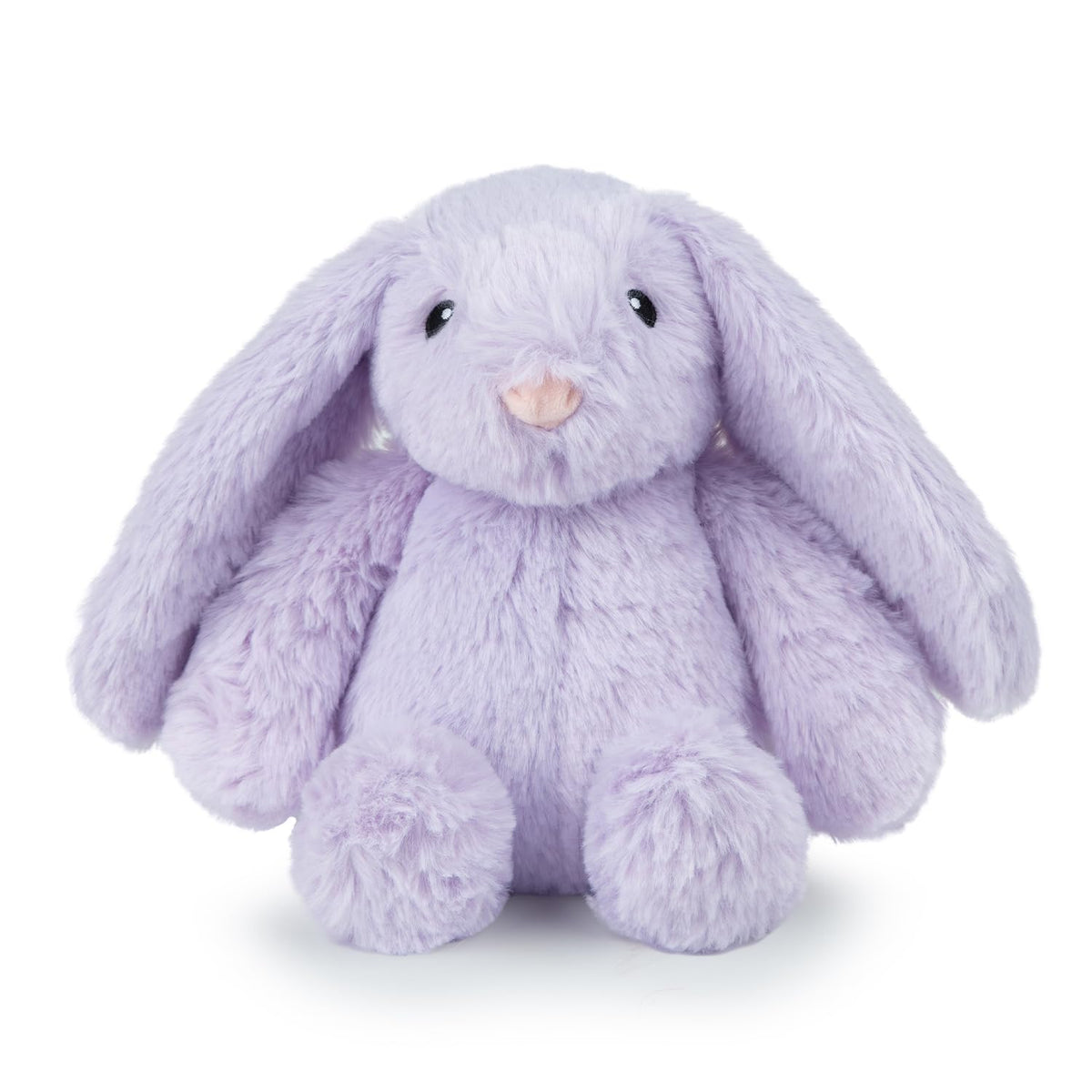 Best Pet Supplies Interactive Squeaky Dog Toy - Crinkle Duck, Blue Father Jim Norris notebooks