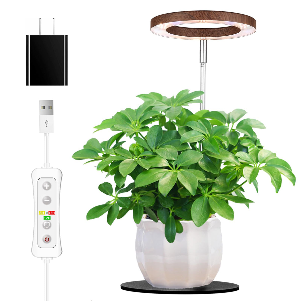 Yadoker 144 LEDs Full Spectrum Plant Grow Light for Indoor Plants,Height Adjustable, 6.3" Aluminum Housing,Automatic Timer with 8/12/16 Hours,10-Level Brightness,Black Plant Light with Base,2 Pack Father Jim Norris notebooks