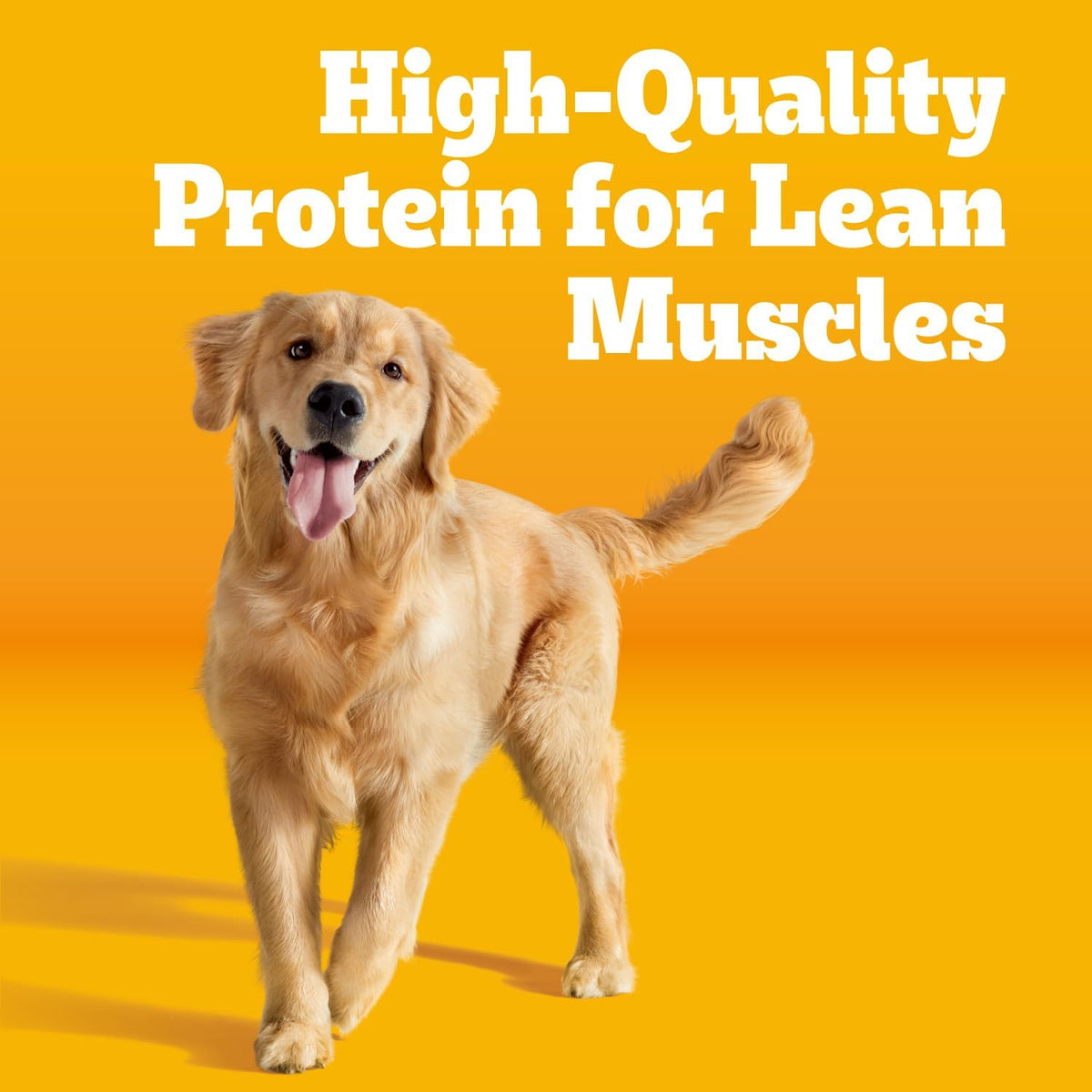 Pedigree Adult Complete Nutrition Dry Dog Food, Steak & Vegetable, 18 lb