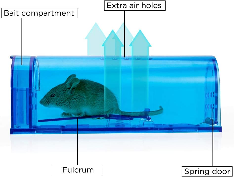 Humane Mouse Trap Reusable! [2-Pack] - Catch and Release No-Kill Rodent Traps for Indoors & Outdoors - Safe for Children & Pets - Reusable Mouse Catcher for Kitchen, Pantry & Garage Blinc (Blue) Father Jim Norris notebooks
