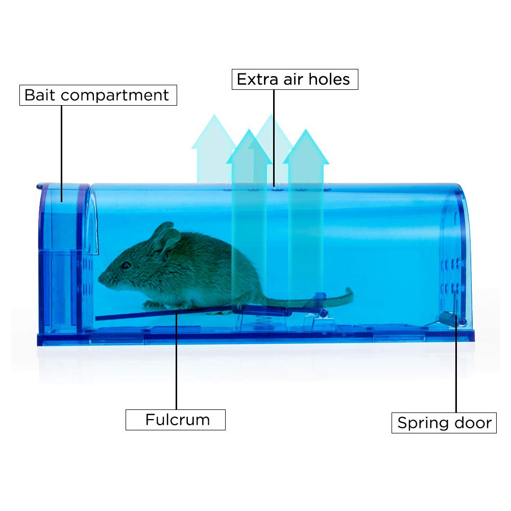 Humane Mouse Trap Reusable! [2-Pack] - Catch and Release No-Kill Rodent Traps for Indoors & Outdoors - Safe for Children & Pets - Reusable Mouse Catcher for Kitchen, Pantry & Garage Blinc (Blue) Father Jim Norris notebooks