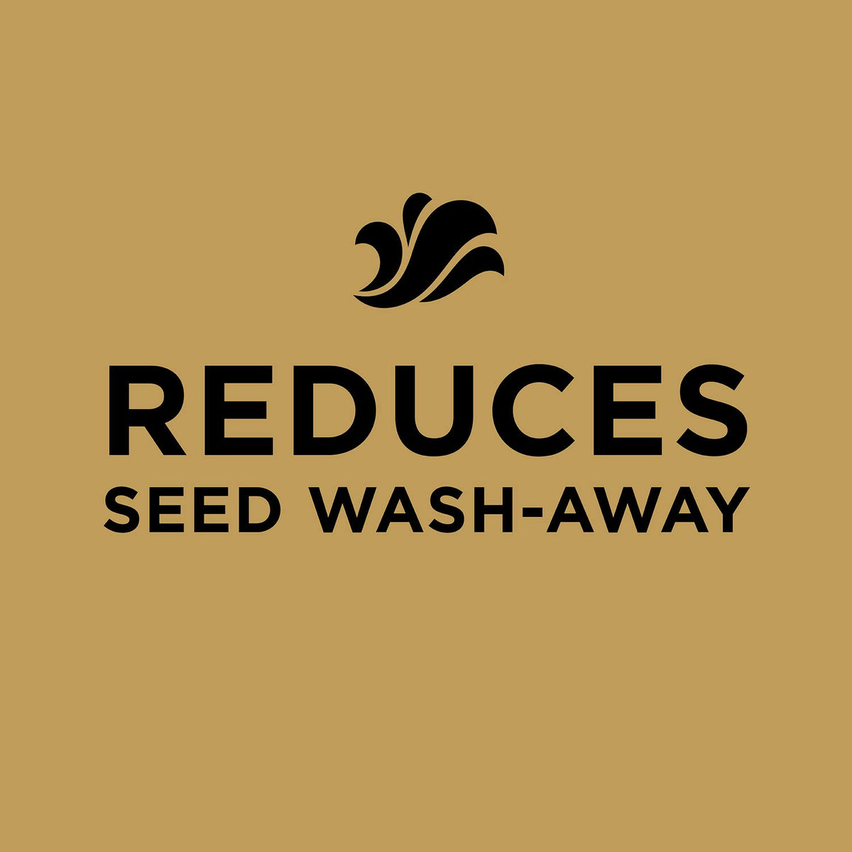 Scotts EZ Seed Patch & Repair Sun and Shade, 10 lbs. Father Jim Norris notebooks