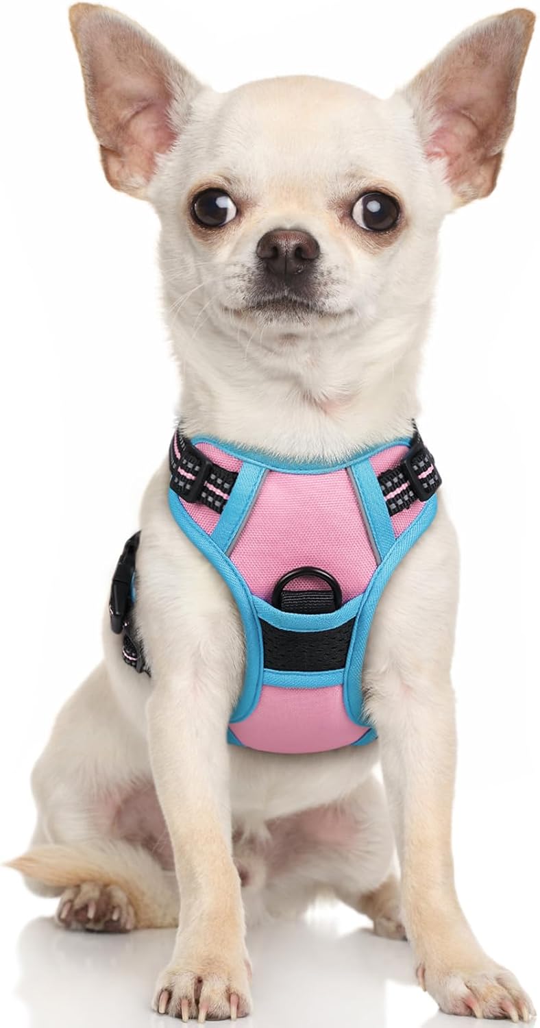 rabbitgoo Dog Harness, No Pull for Large Dogs with 2 Leash Clips, Pet Vest