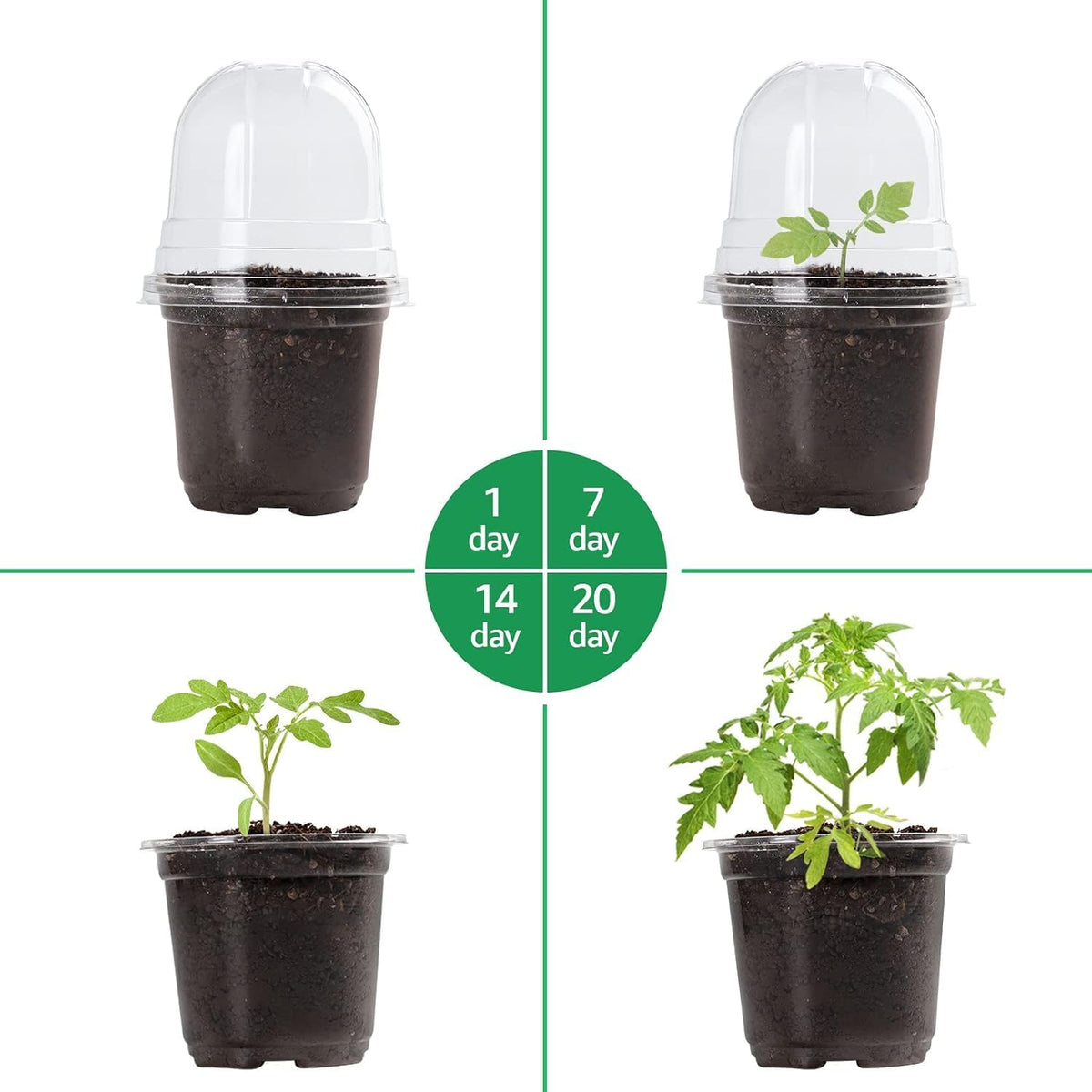 Bluepro Clear Nursery Pots with Humidity Domes, 4 Inch, 30-Pack Father Jim Norris notebooks