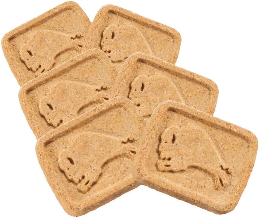 Blue Buffalo Health Bars Pumpkin & Cinnamon Dog Biscuits, 16 oz Father Jim Norris notebooks