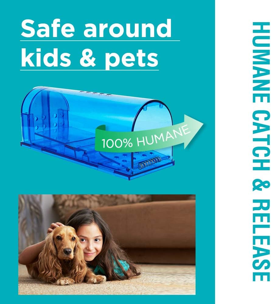 Humane Mouse Trap Reusable! [2-Pack] - Catch and Release No-Kill Rodent Traps for Indoors & Outdoors - Safe for Children & Pets - Reusable Mouse Catcher for Kitchen, Pantry & Garage Blinc (Blue) Father Jim Norris notebooks