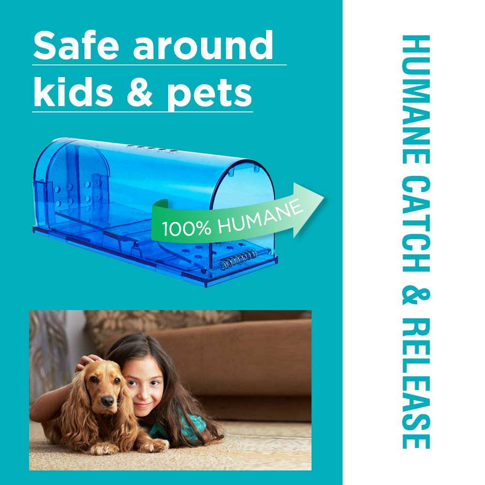 Humane Mouse Trap Reusable! [2-Pack] - Catch and Release No-Kill Rodent Traps for Indoors & Outdoors - Safe for Children & Pets - Reusable Mouse Catcher for Kitchen, Pantry & Garage Blinc (Blue) Father Jim Norris notebooks