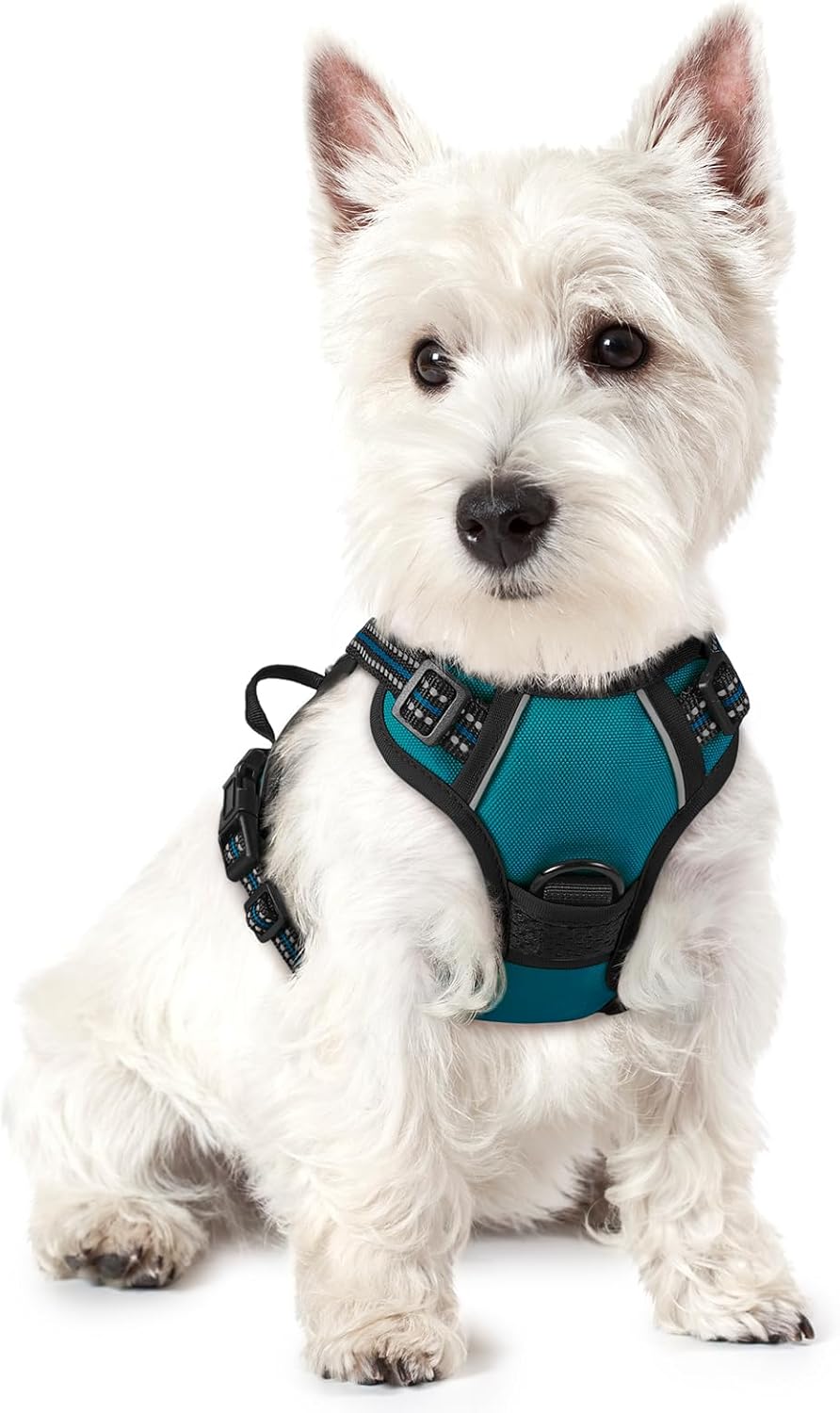 rabbitgoo Dog Harness, No Pull for Large Dogs with 2 Leash Clips, Pet Vest