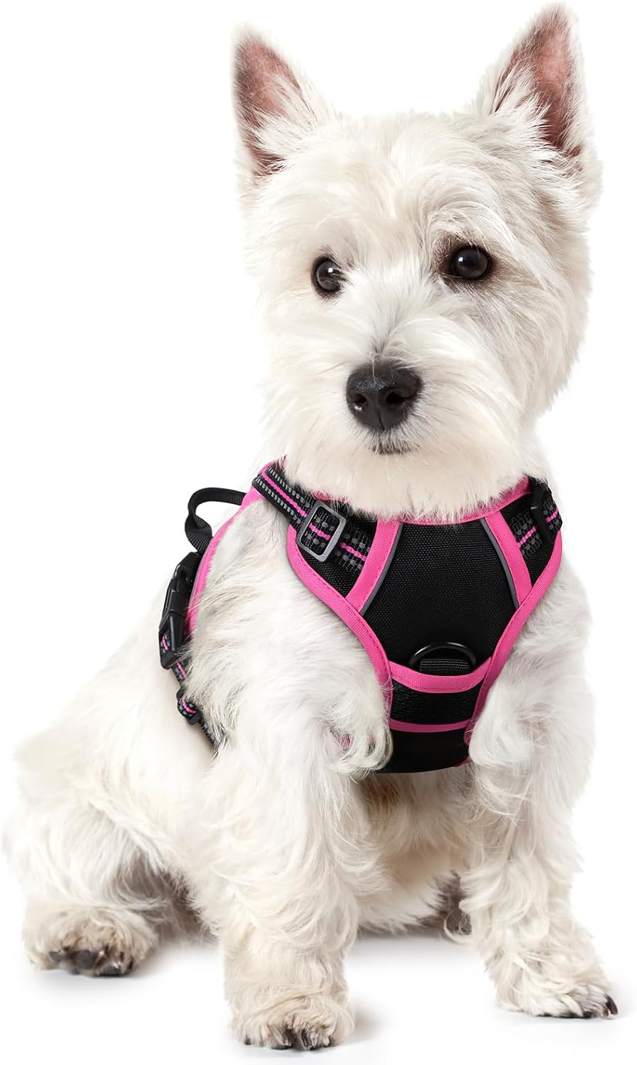 rabbitgoo Dog Harness, No Pull for Large Dogs with 2 Leash Clips, Pet Vest