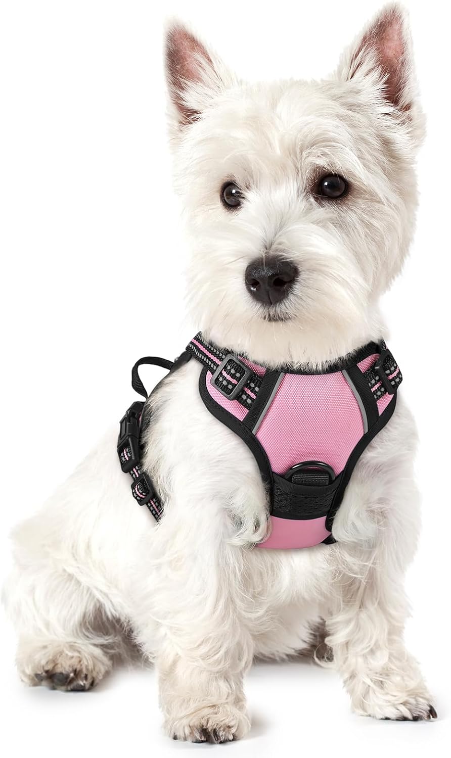 rabbitgoo Dog Harness, No Pull for Large Dogs with 2 Leash Clips, Pet Vest