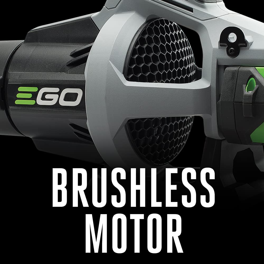 EGO POWER+ Cordless Electric Leaf Blower, 615 CFM, With Battery - LB6151 Father Jim Norris notebooks