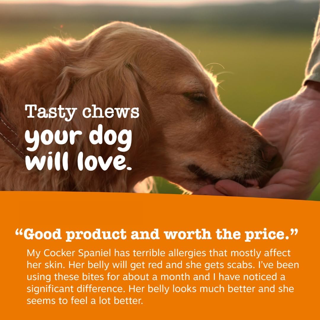 Zesty Paws Dog Allergy Chews - Dog Allergy Relief, Lamb, 90 Ct Father Jim Norris notebooks