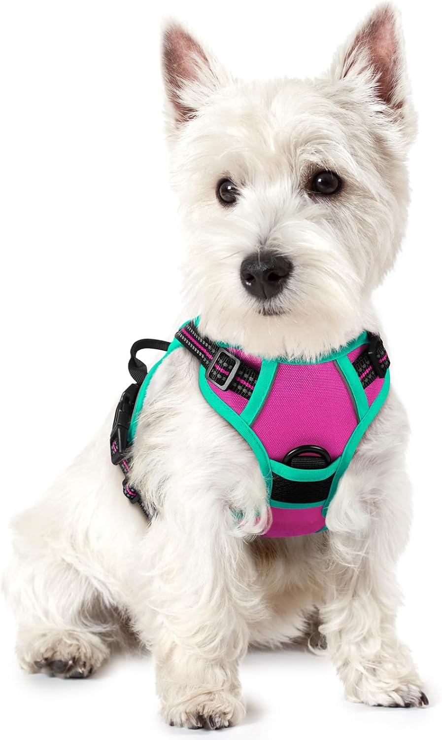 rabbitgoo Dog Harness, No Pull for Large Dogs with 2 Leash Clips, Pet Vest