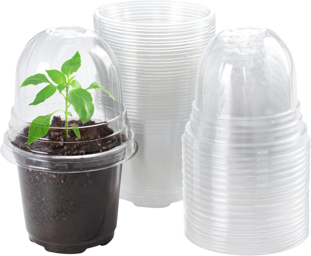 Bluepro Clear Nursery Pots with Humidity Domes, 4 Inch, 30-Pack Father Jim Norris notebooks
