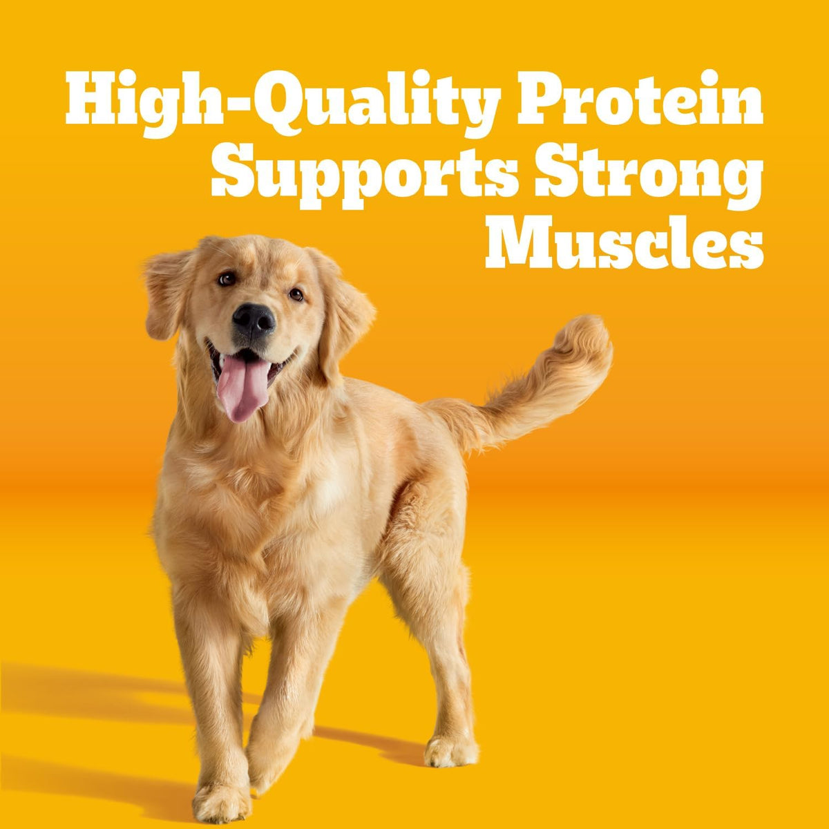 Pedigree Adult Complete Nutrition Dry Dog Food, Steak & Vegetable, 18 lb