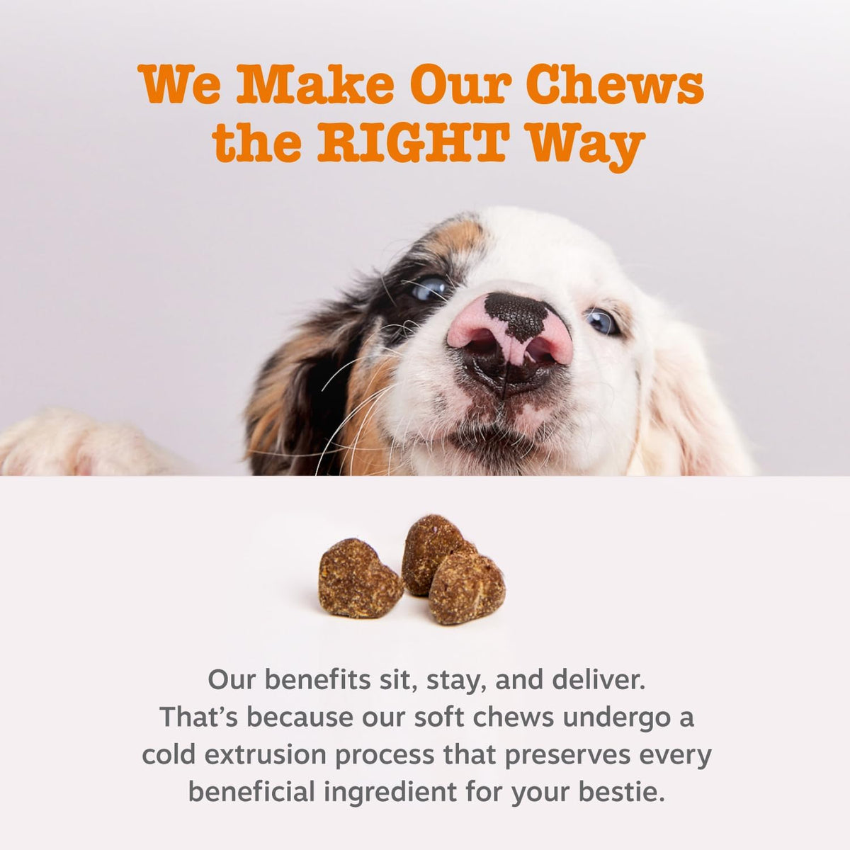Zesty Paws Dog Allergy Chews - Dog Allergy Relief, Lamb, 90 Ct Father Jim Norris notebooks