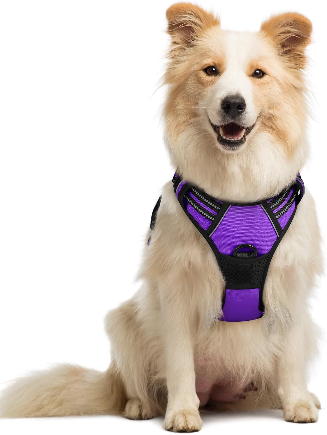 rabbitgoo Dog Harness, No Pull for Large Dogs with 2 Leash Clips, Pet Vest