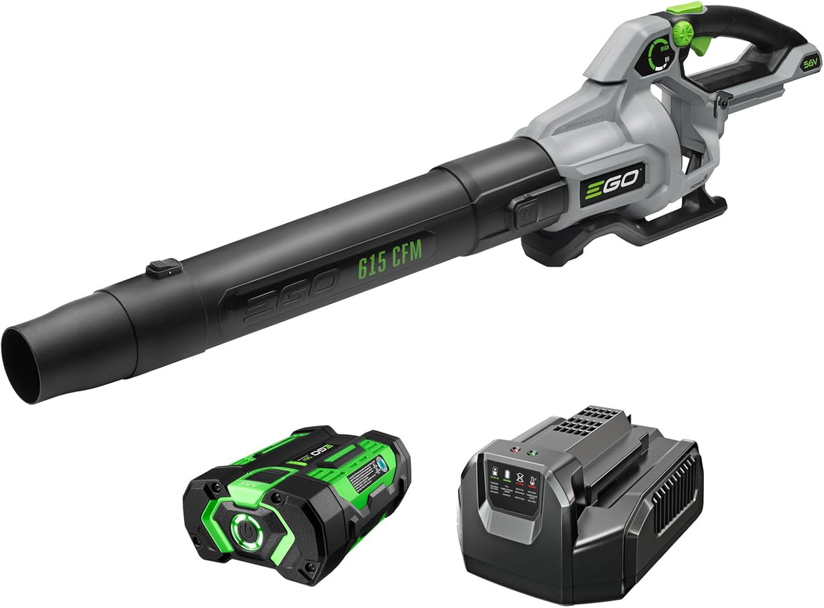 EGO POWER+ Cordless Electric Leaf Blower, 615 CFM, With Battery - LB6151 Father Jim Norris notebooks