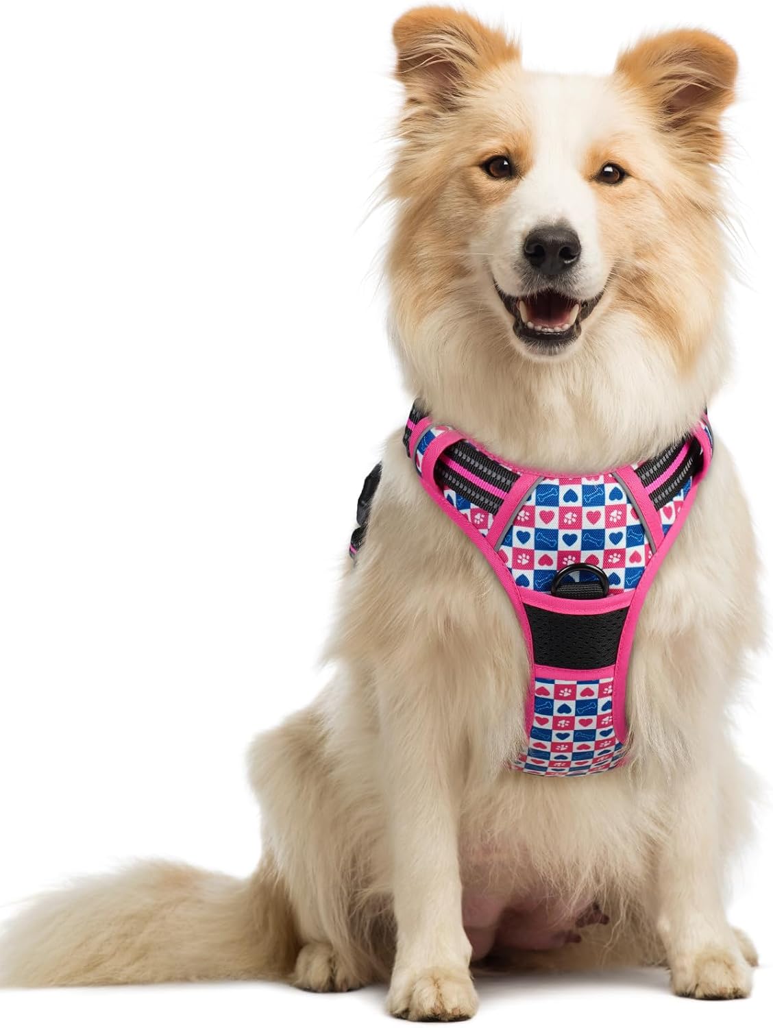 rabbitgoo Dog Harness, No Pull for Large Dogs with 2 Leash Clips, Pet Vest