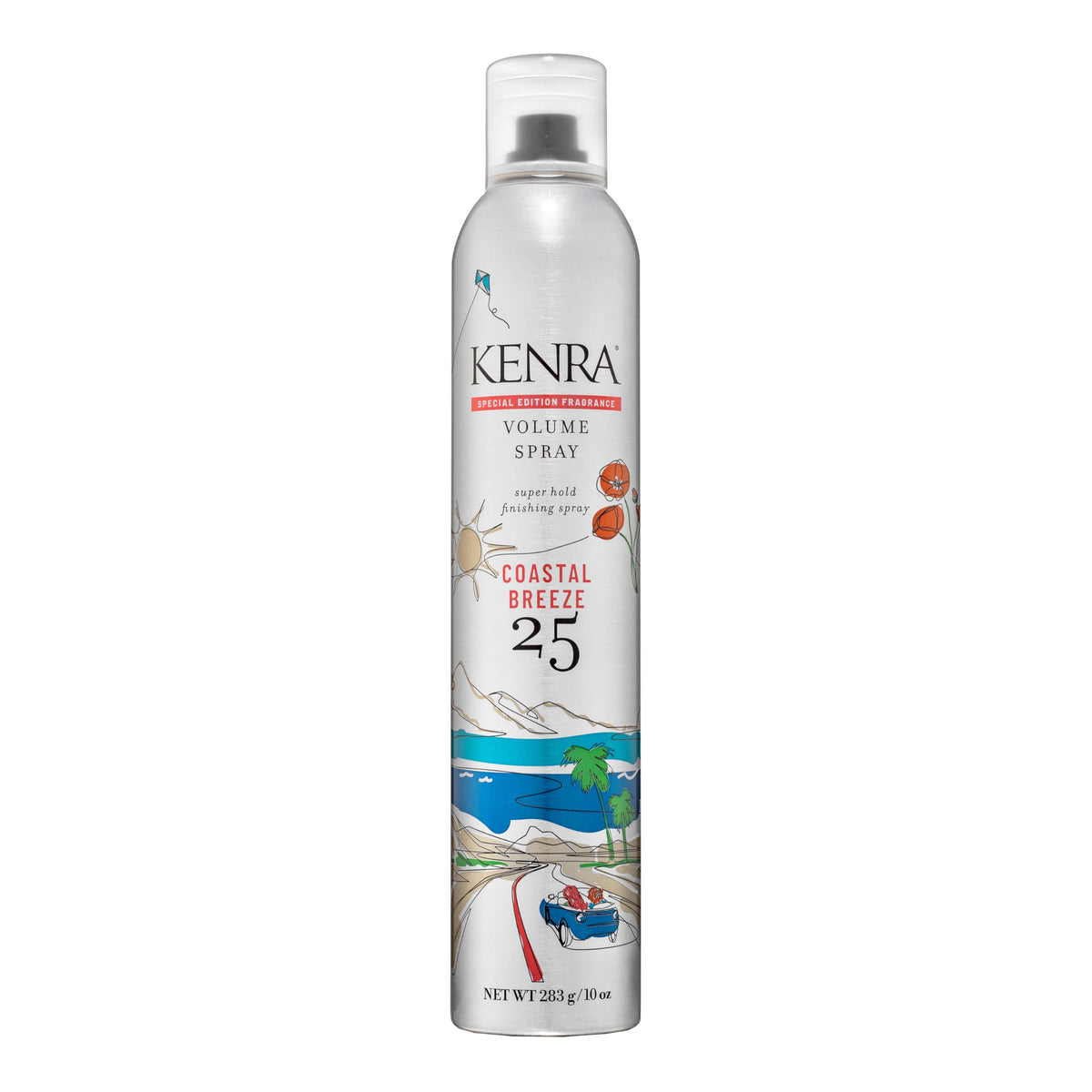 Kenra Professional Volume Spray 25 | Super Hold Finishing & Styling Hairspray | Flake-free & Fast-drying | Wind & Humidity Resistance | All Hair Types Father Jim Norris notebooks
