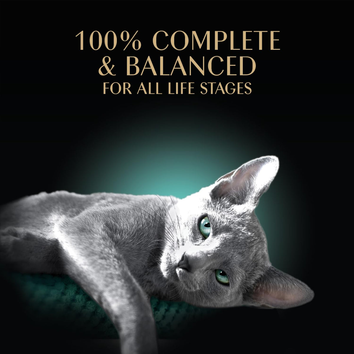 Sheba Perfect Portions Cuts Wet Cat Food, Salmon & Tuna, 2.6 oz, 12 ct, 2pk