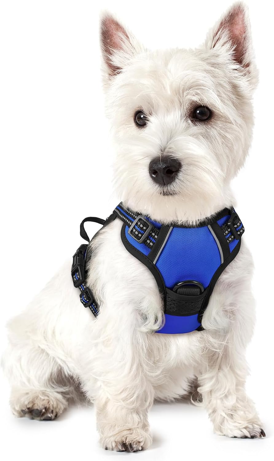 rabbitgoo Dog Harness, No Pull for Large Dogs with 2 Leash Clips, Pet Vest