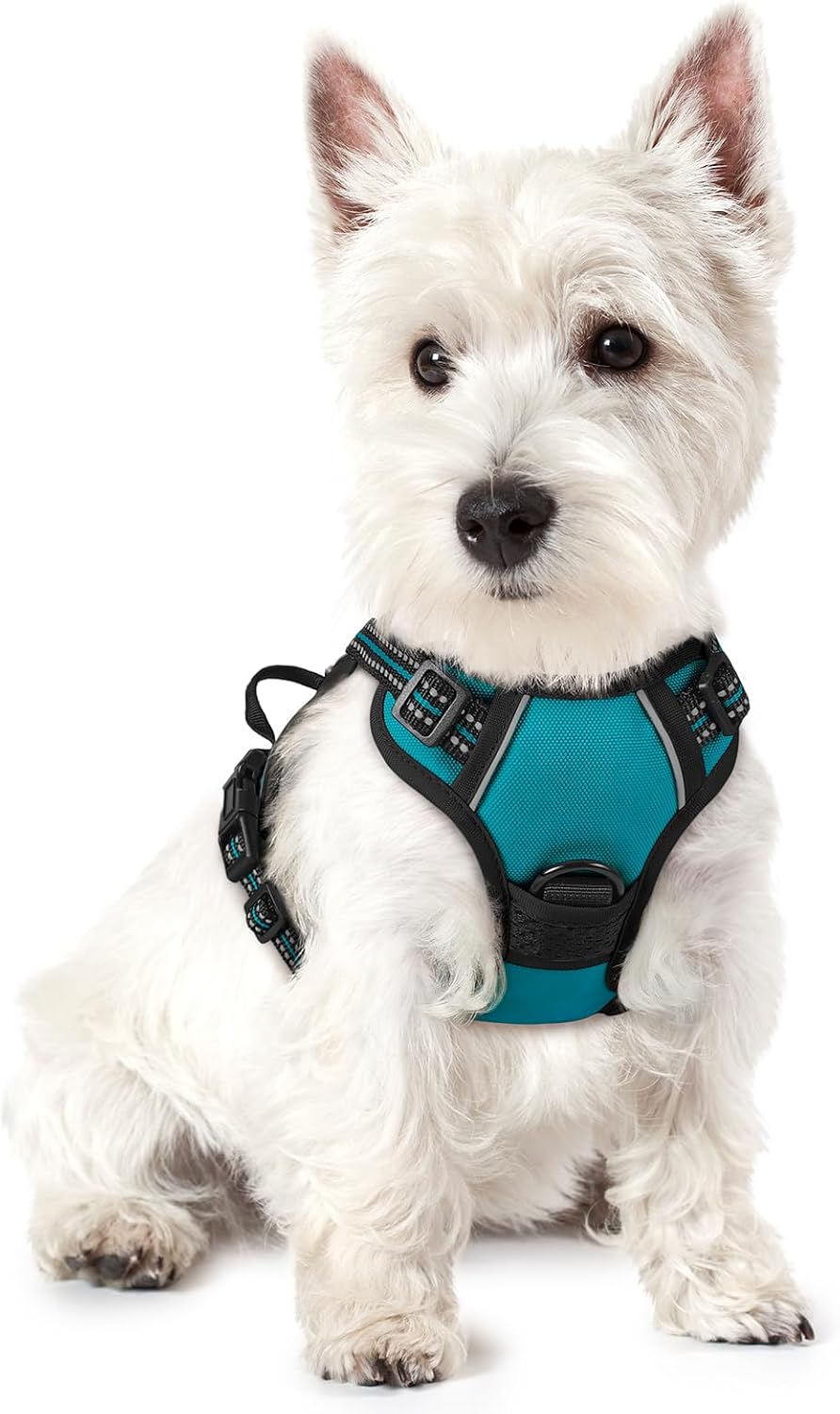 rabbitgoo Dog Harness, No Pull for Large Dogs with 2 Leash Clips, Pet Vest