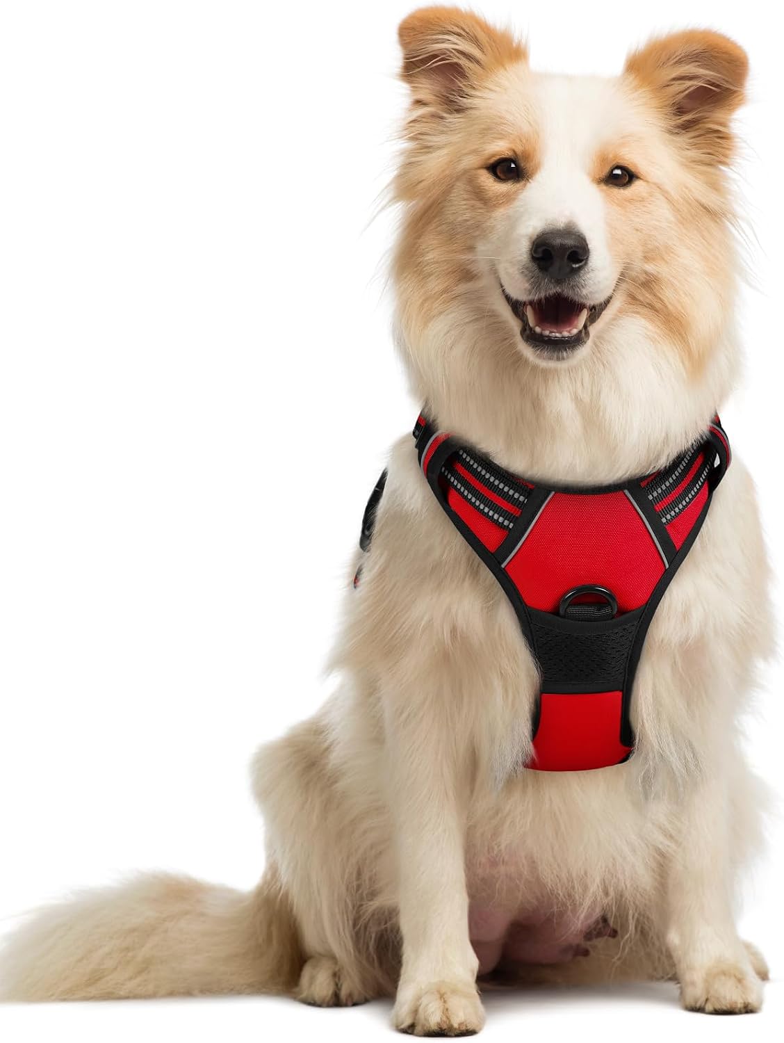 rabbitgoo Dog Harness, No Pull for Large Dogs with 2 Leash Clips, Pet Vest