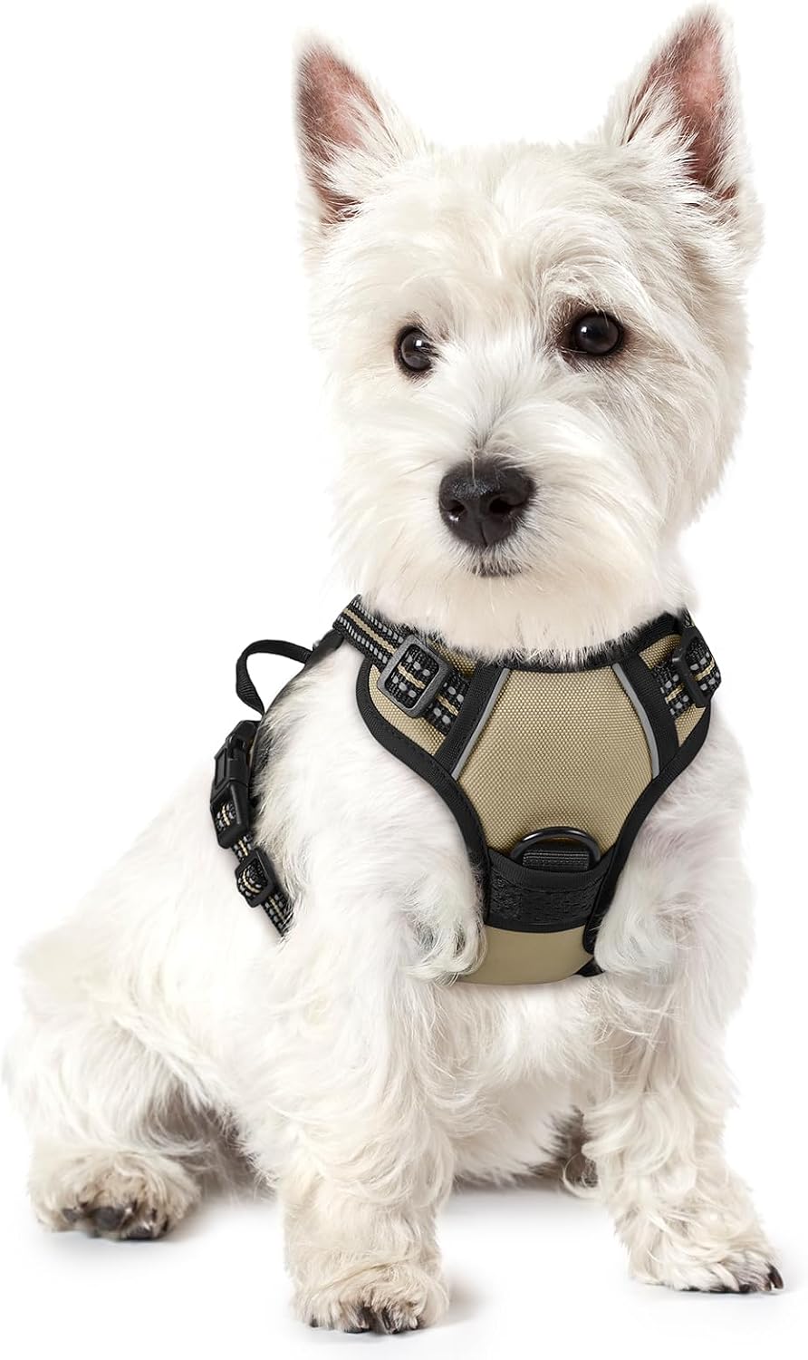 rabbitgoo Dog Harness, No Pull for Large Dogs with 2 Leash Clips, Pet Vest