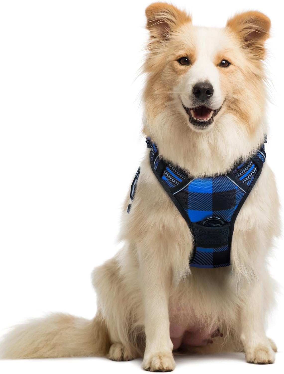 rabbitgoo Dog Harness, No Pull for Large Dogs with 2 Leash Clips, Pet Vest