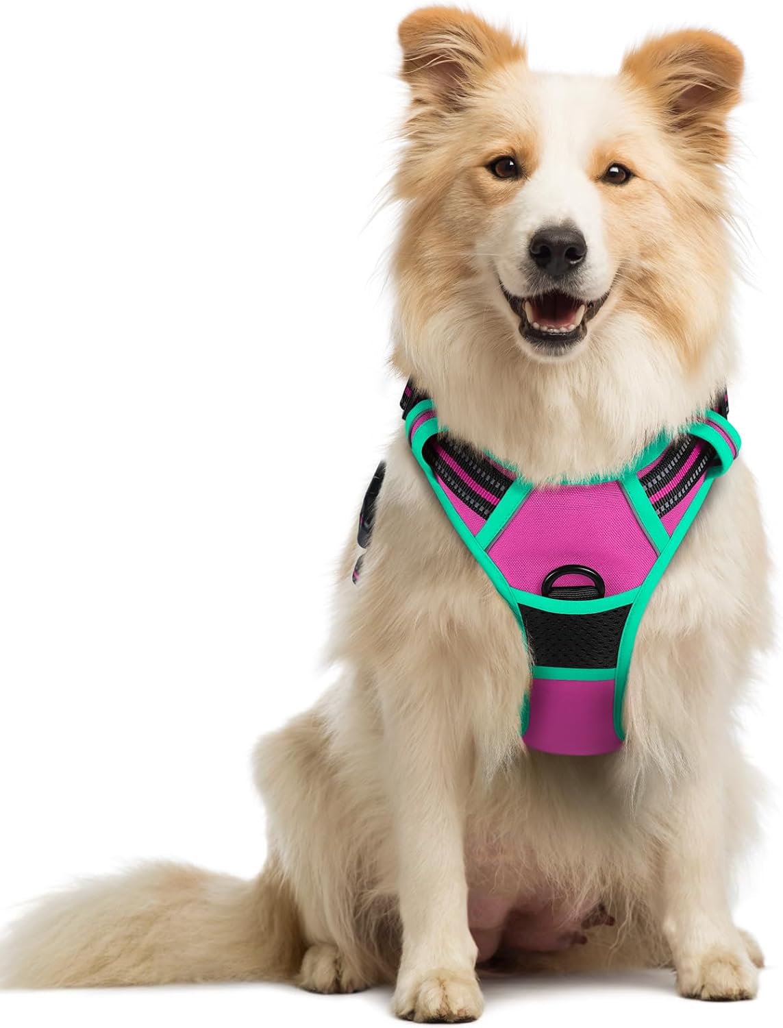 rabbitgoo Dog Harness, No Pull for Large Dogs with 2 Leash Clips, Pet Vest