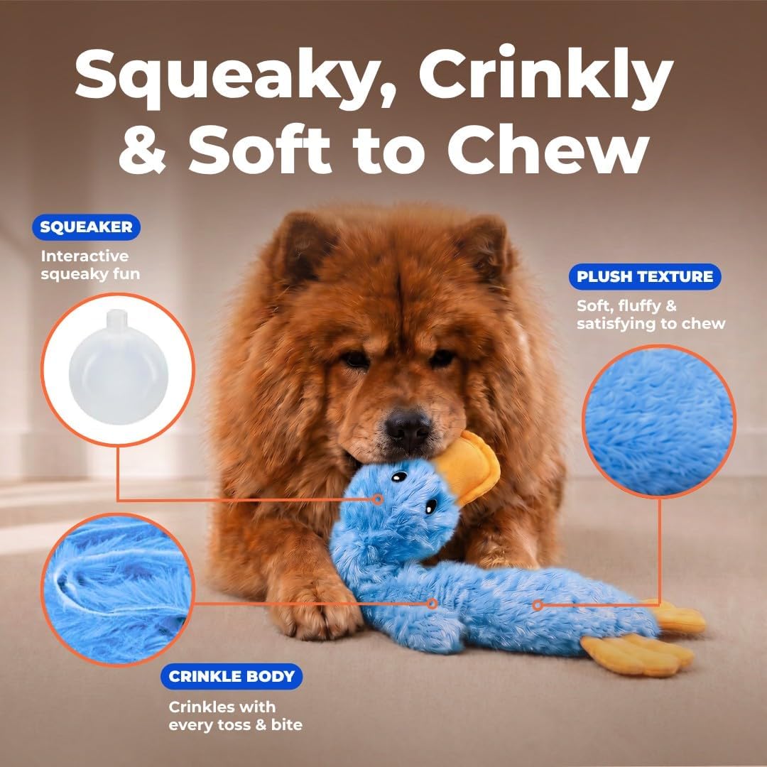 Best Pet Supplies Interactive Squeaky Dog Toy - Crinkle Duck, Blue Father Jim Norris notebooks