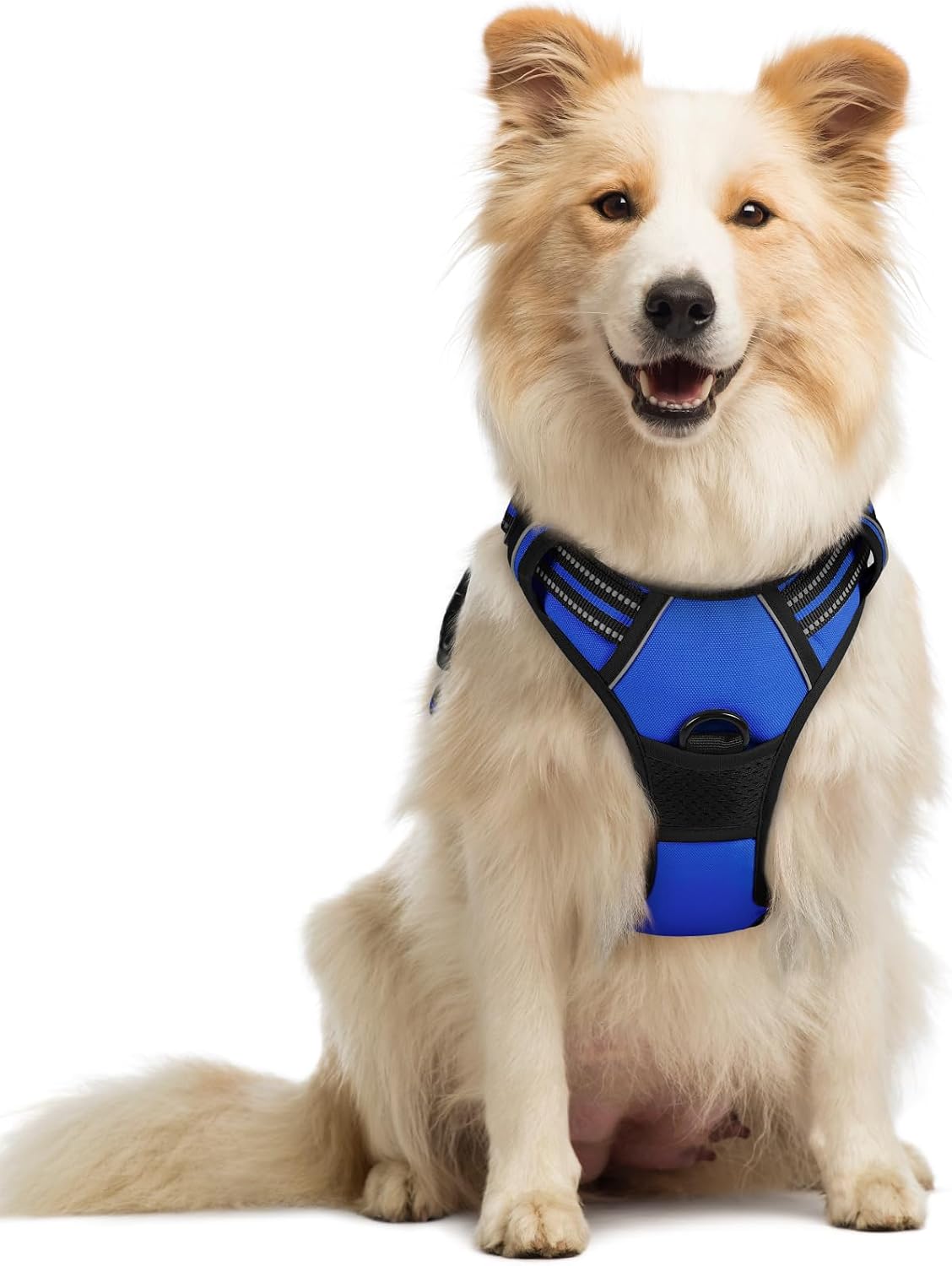rabbitgoo Dog Harness, No Pull for Large Dogs with 2 Leash Clips, Pet Vest