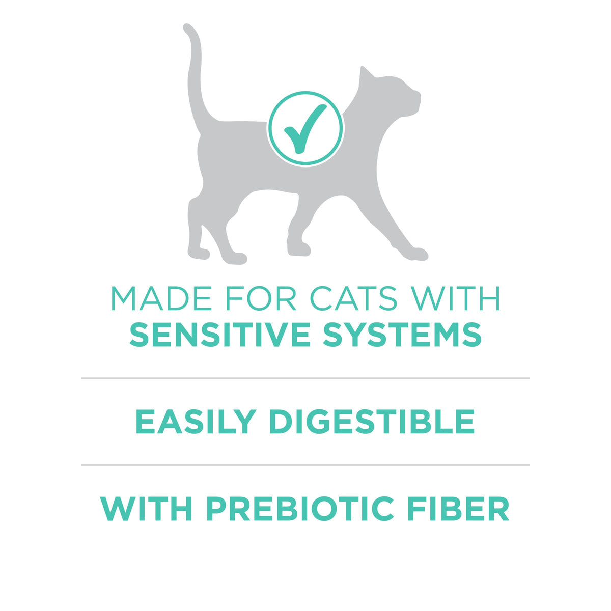 Purina ONE Sensitive Skin and Stomach Dry Cat Food 16 lb Bag