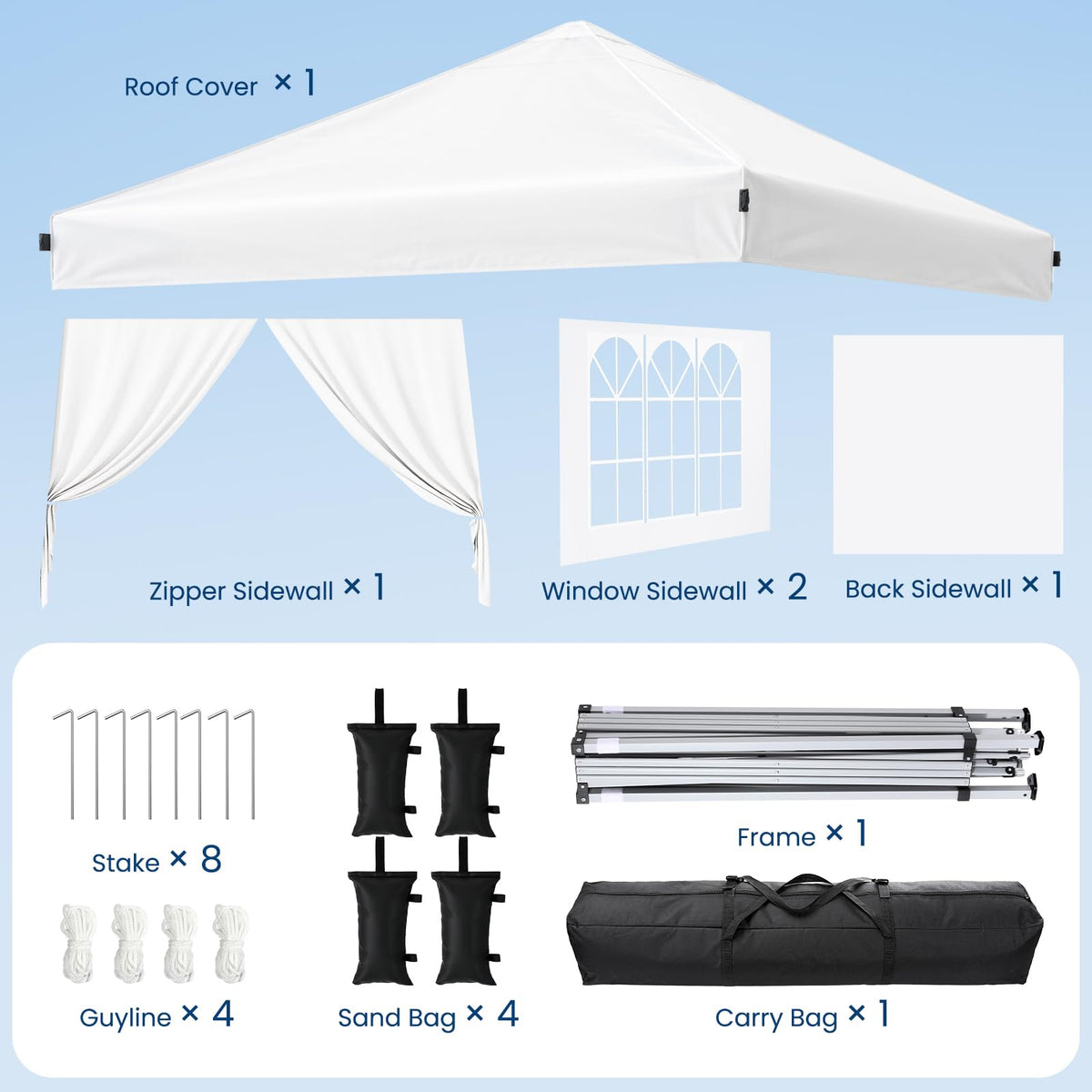 10x10 Pop Up Canopy Tent with One-Push Center Lock,Dark Gray Father Jim Norris notebooks