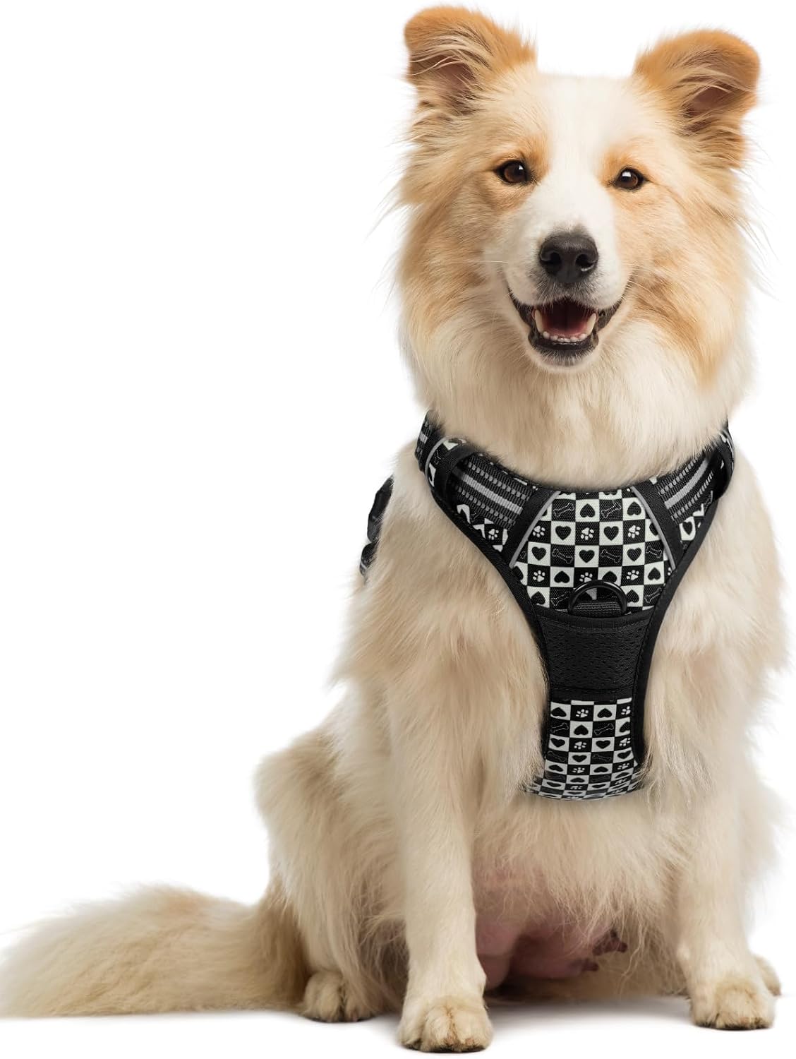 rabbitgoo Dog Harness, No Pull for Large Dogs with 2 Leash Clips, Pet Vest