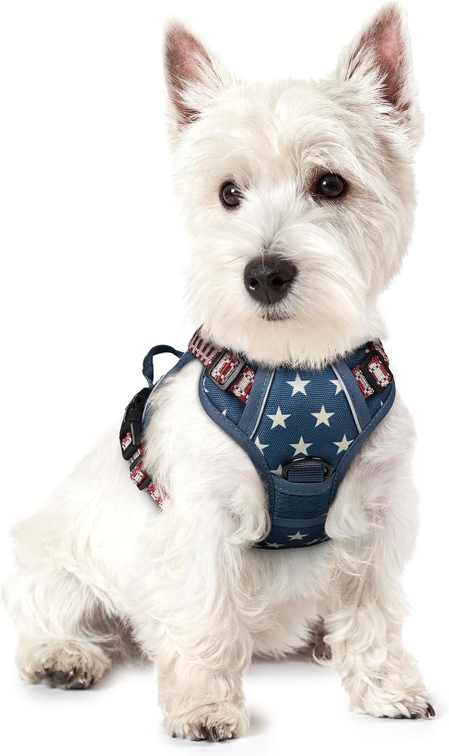 rabbitgoo Dog Harness, No Pull for Large Dogs with 2 Leash Clips, Pet Vest