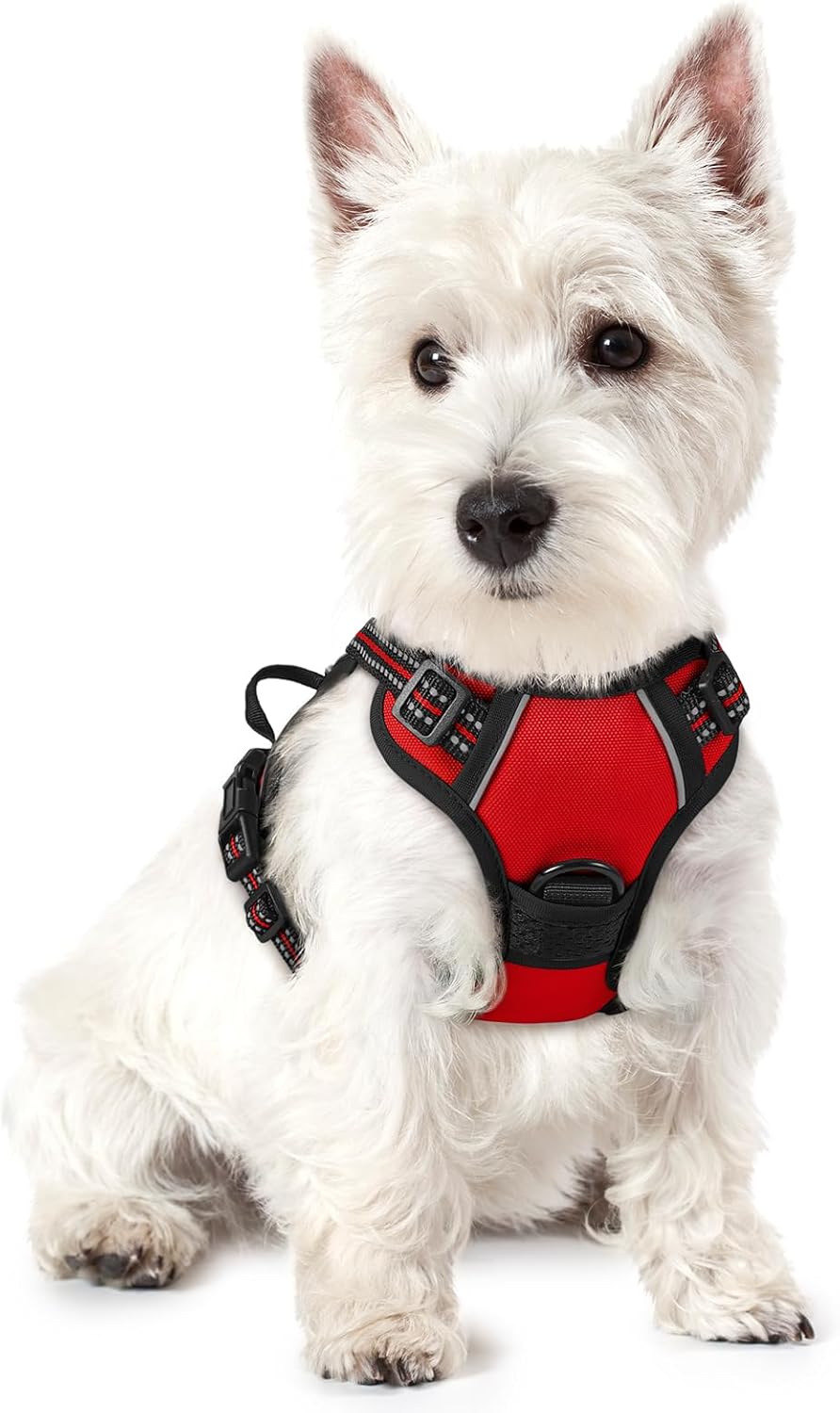 rabbitgoo Dog Harness, No Pull for Large Dogs with 2 Leash Clips, Pet Vest