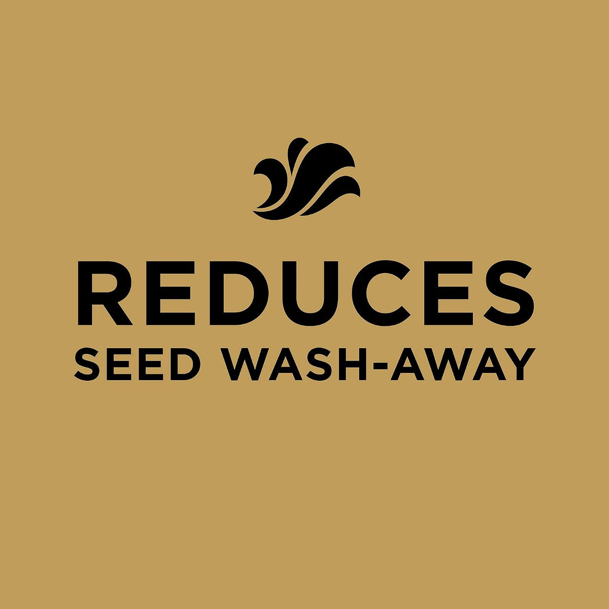 Scotts EZ Seed Patch & Repair Sun and Shade, 10 lbs. Father Jim Norris notebooks