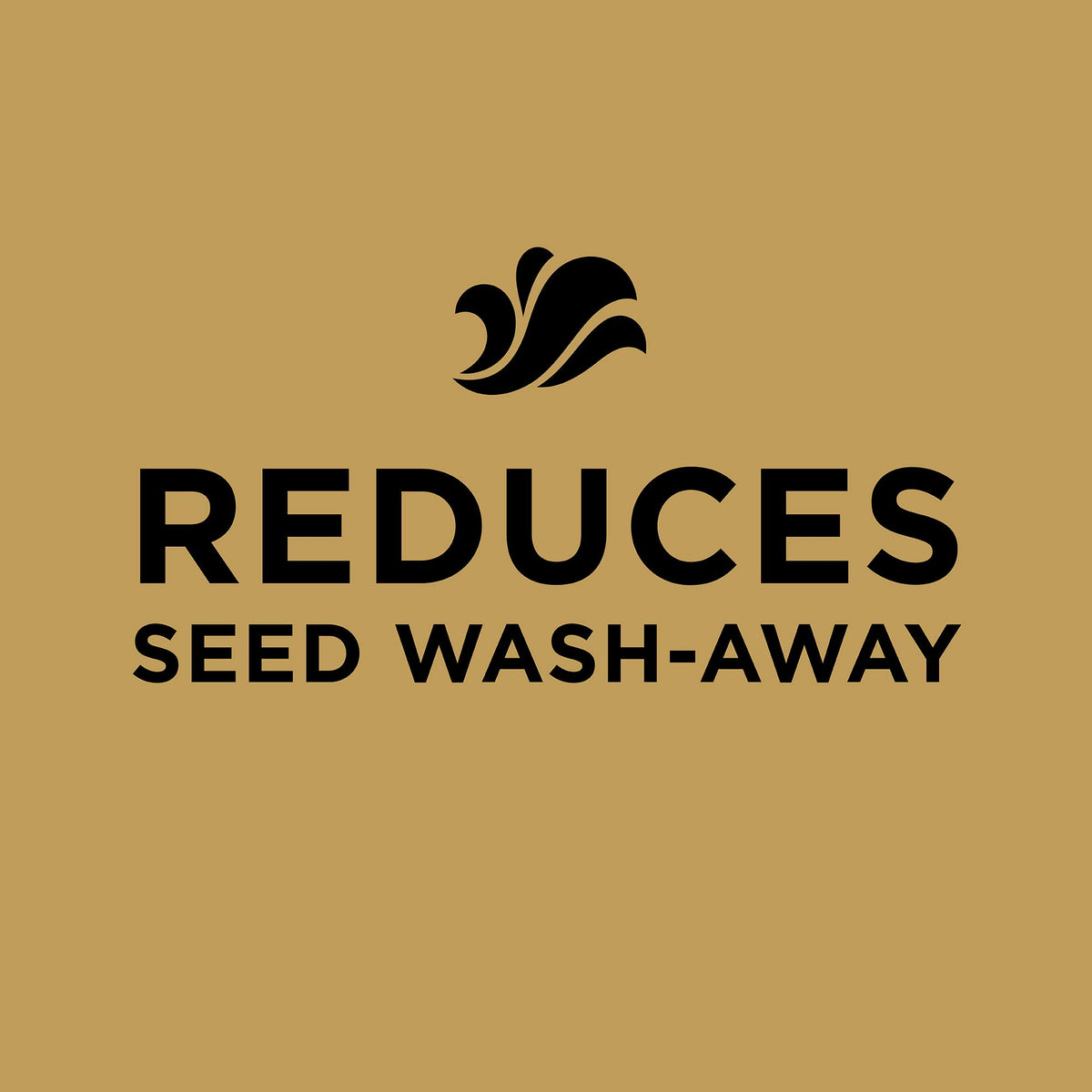 Scotts EZ Seed Patch & Repair Sun and Shade, 10 lbs. Father Jim Norris notebooks