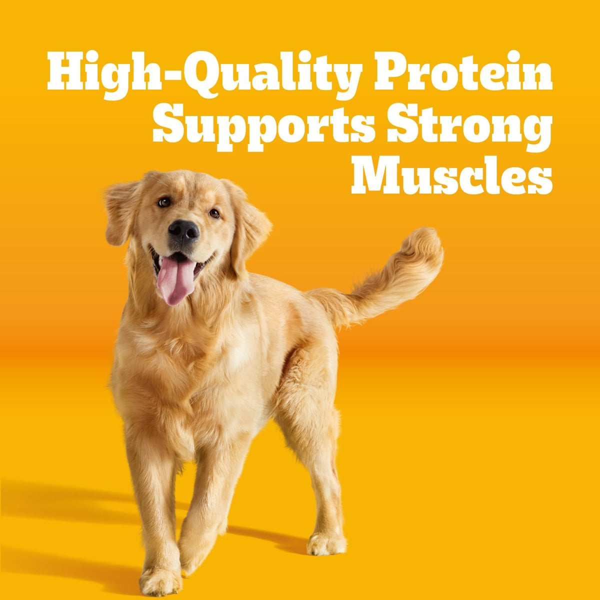 Pedigree Adult Complete Nutrition Dry Dog Food, Steak & Vegetable, 18 lb