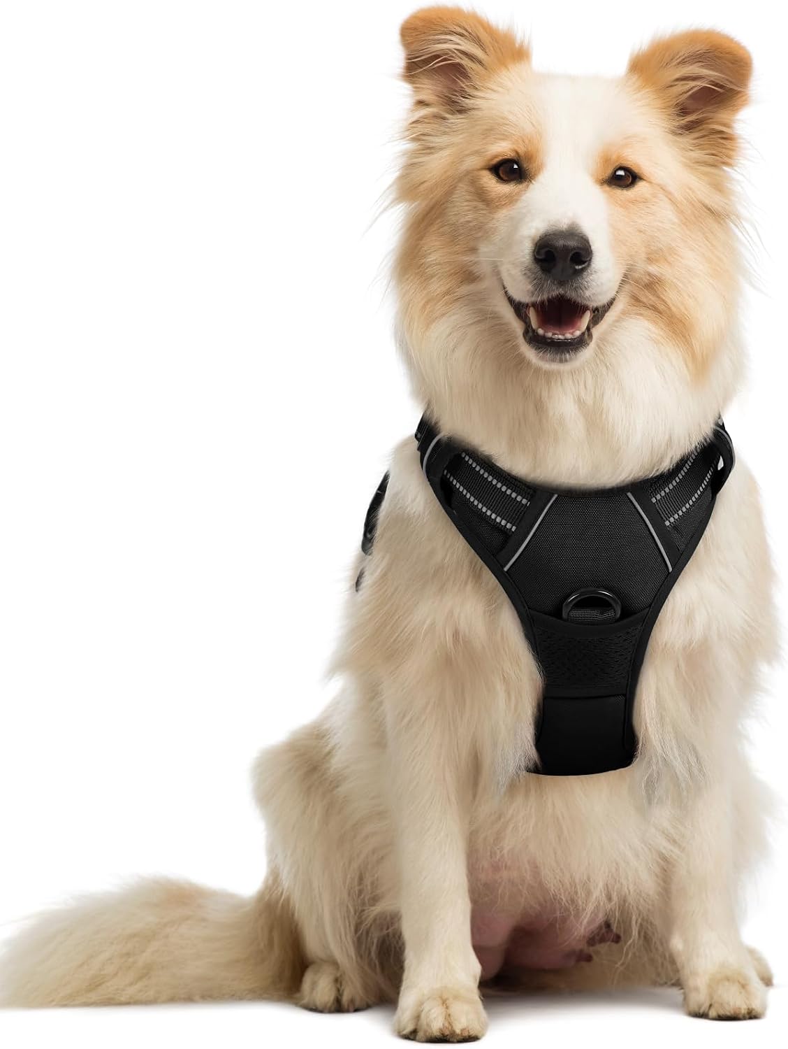 rabbitgoo Dog Harness, No Pull for Large Dogs with 2 Leash Clips, Pet Vest