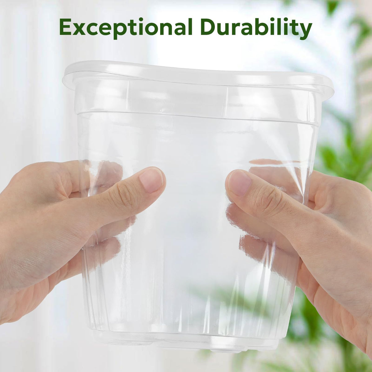 Bluepro Clear Nursery Pots with Humidity Domes, 4 Inch, 30-Pack Father Jim Norris notebooks