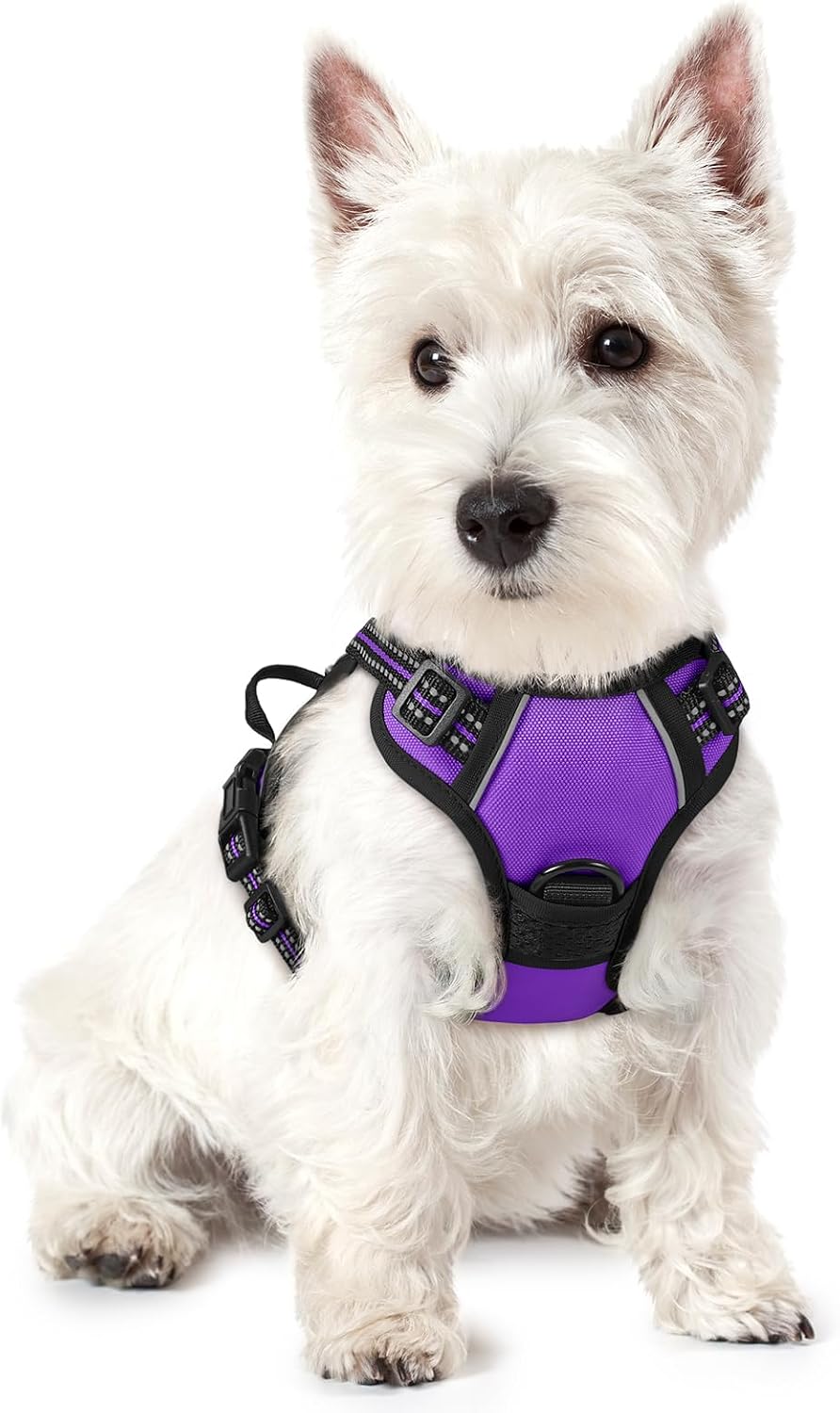 rabbitgoo Dog Harness, No Pull for Large Dogs with 2 Leash Clips, Pet Vest